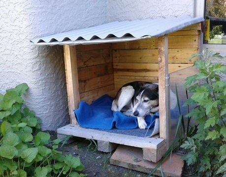 casas de perros recicladas pequeñas