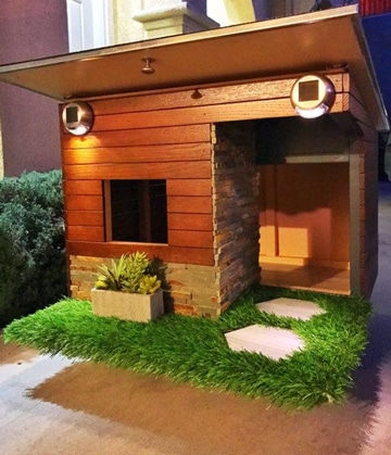 diseños de casas para perros de madera