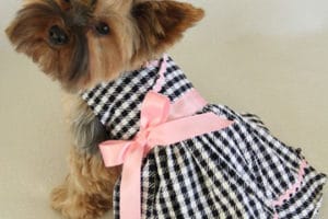como hacer vestidos para perros pequeños