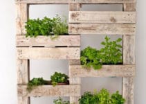 Ideas sencillas para decoracion de jardines con macetas