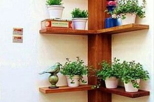 Ideas para decorar con plantas de sombra para oficina