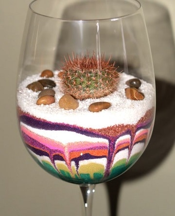 cactus en frascos de vidrio copa