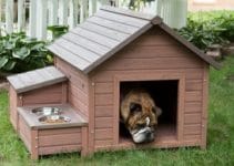 Ideas para diseñar y crear casas para perros caseras