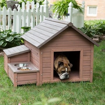 casas para perros caseras diseños