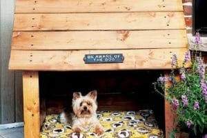 Imagenes y fotos de casas para perros pequeños