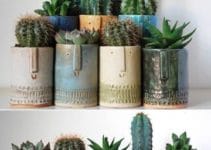 Algunos de los beneficios de los cactus en casa