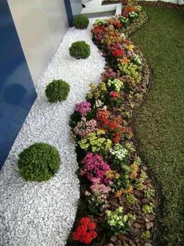 plantas para decorar jardines pequeños