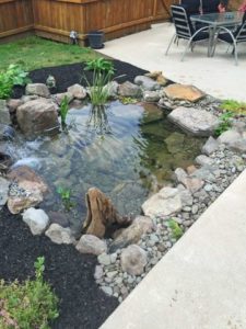 ideas para patios y jardines con agua