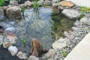 ideas para patios y jardines con agua