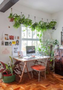 decorar salon con plantas naturales colgantes