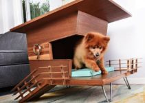 Estructuras en diseños casas para perros de madera