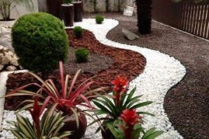 plantas para patios pequeños con piedras