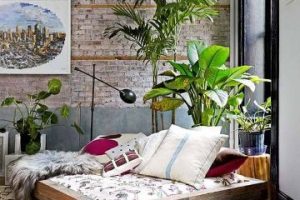 5 plantas para decorar recamaras y otros espacios