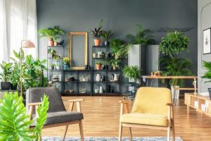 plantas para interiores salas amplia diversidad