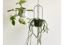 5 pequeñas plantas de interior colgantes originales