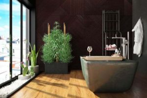 5 recomendaciones de plantas para baños oscuros modernos