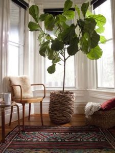 como decorar con plantas la casa macetas tejidas