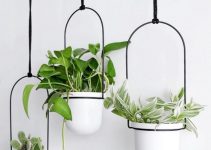5 ideas sobre como poner plantas en la pared o en el techo