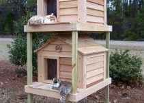 Ideas casas para gatos exterior jardín y patio 2021
