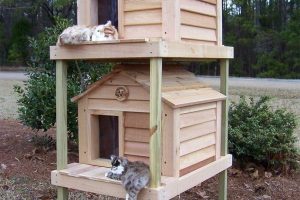 casas para gatos exterior dos niveles