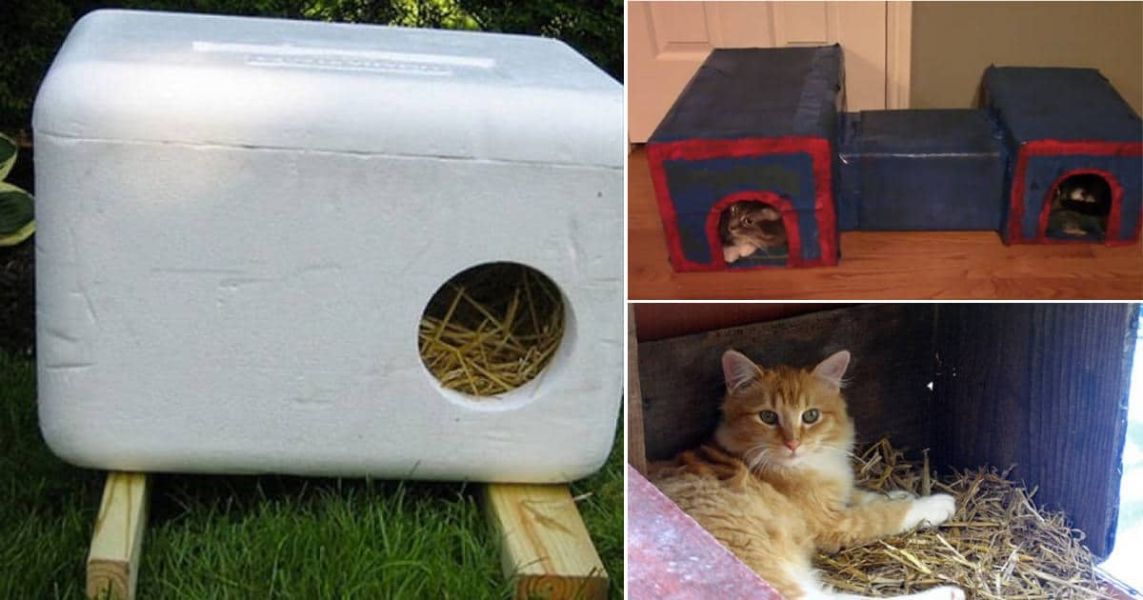 casas para gatos exterior recicladas