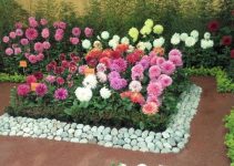 Hermosos jardines pequeños con flores 5 coloridas
