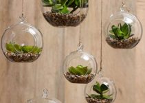 Ideas en decoracion con plantas de interior 6 especies