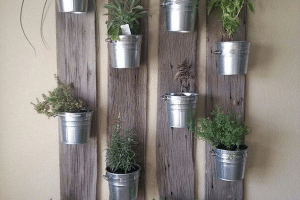 En 2021 como decorar una pared con plantas de forma original