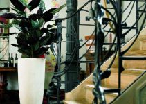 Ideas para decorar escaleras con plantas 5 especies
