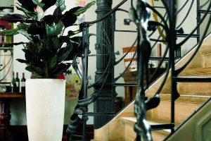Ideas para decorar escaleras con plantas 5 especies