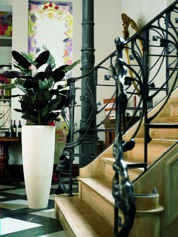 decorar escaleras con plantas calathea