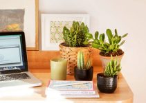 6 ideas en como decorar tu escritorio de estudio en casa