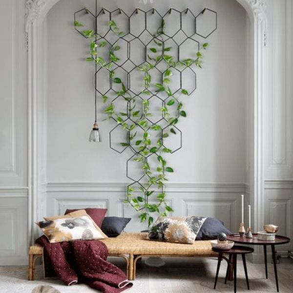como decorar con plantas una pared enredaderas originales