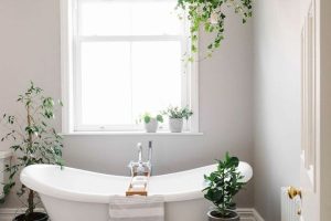 5 tipos de plantas naturales para poner en el baño y cocina