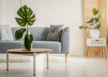 Como decorar con plantas sala de estar para el 2022