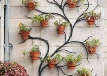 Jardines verticales y plantas en la pared del patio 2022