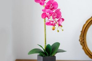 Elegantes jarrones con orquídeas artificiales 2023