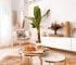Una casa pequeña moderna interior en 4 estilos